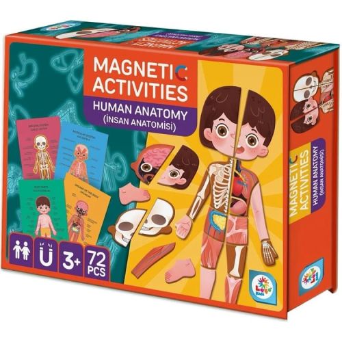 Laço Kids Manyetik Aktivite Insan Anatomisi-Ekransız Zeka Geliştirici Oyun